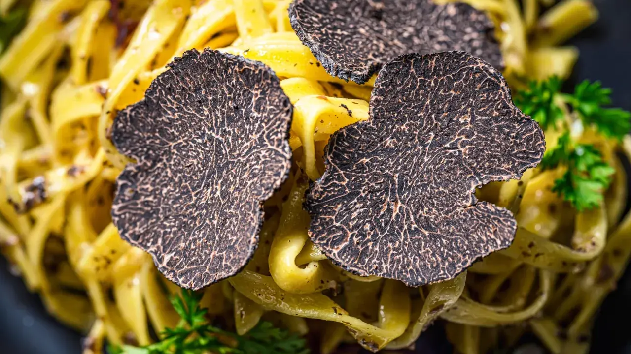 Feine Tagliatelle mit frischen Trüffelscheiben garniert. Ein luxuriöses Gericht, das die Aromen von Trüffel und Pasta vereint.