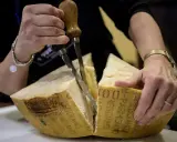 Hände schneiden einen großen Laib Parmigiano Reggiano Parmesan mit einem speziellen Messer.