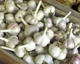 Viele Knoblauchzehen liegen in einer Holzkiste. Perfekt für die Lagerung und um Knoblauch haltbar zu machen.