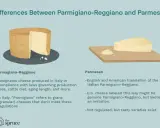 Parmigiano Reggiano vs Parmesan: Ein ganzer Laib und ein Stück Käse zeigen die Unterschiede. Parmigiano ist italienisch, Parmesan oft eine Nachahmung.