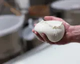 Frische Fior di Latte Mozzarella in einer Hand, glänzend und feucht.