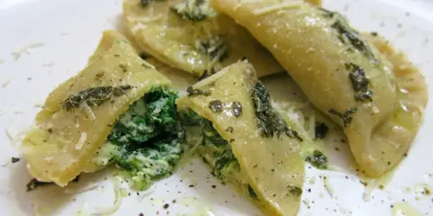 Mezzelune spinaci, gefüllt mit cremigem Spinat und Ricotta, beträufelt mit Olivenöl und bestreut mit Parmesan.