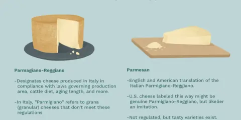 Parmigiano Reggiano vs Parmesan: Ein ganzer Laib und ein Stück Käse zeigen die Unterschiede. Parmigiano ist italienisch, Parmesan oft eine Nachahmung.