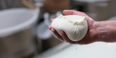 Frische Fior di Latte Mozzarella in einer Hand, glänzend und feucht.