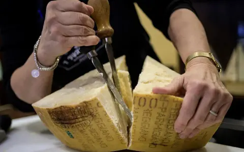 Hände schneiden einen großen Laib Parmigiano Reggiano Parmesan mit einem speziellen Messer.