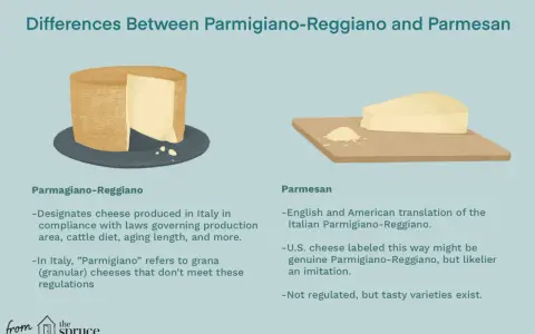 Parmigiano Reggiano vs Parmesan: Ein ganzer Laib und ein Stück Käse zeigen die Unterschiede. Parmigiano ist italienisch, Parmesan oft eine Nachahmung.