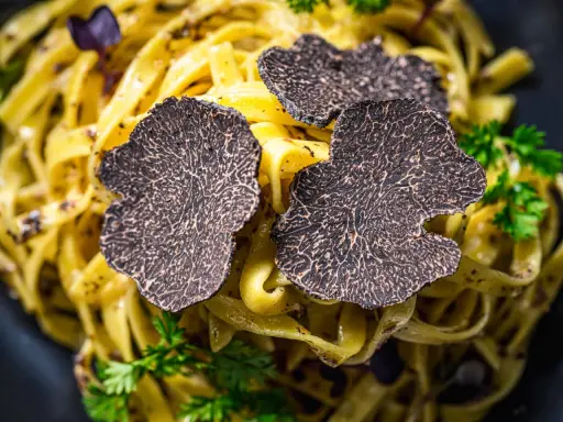 Feine Tagliatelle mit frischen Trüffelscheiben garniert. Ein luxuriöses Gericht, das die Aromen von Trüffel und Pasta vereint.
