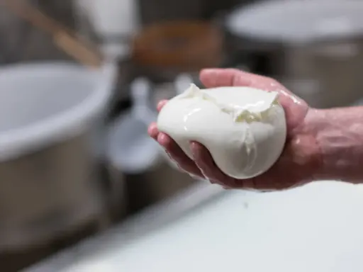 Frische Fior di Latte Mozzarella in einer Hand, glänzend und feucht.
