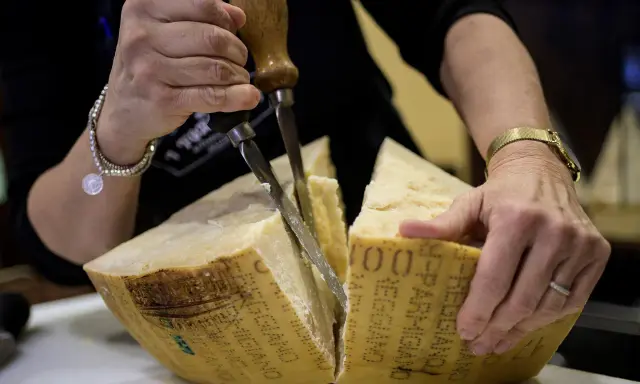 Hände schneiden einen großen Laib Parmigiano Reggiano Parmesan mit einem speziellen Messer.