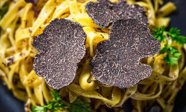 Feine Tagliatelle mit frischen Trüffelscheiben garniert. Ein luxuriöses Gericht, das die Aromen von Trüffel und Pasta vereint.